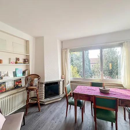 Cozy With Terrace Minusio